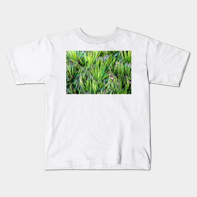 Dana Point Greenery Kids T-Shirt by bobmeyers